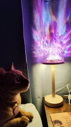 Customer photo: a cat watching Tidelight